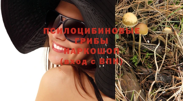 ешки Михайловка
