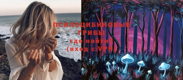 тгк Михайлов