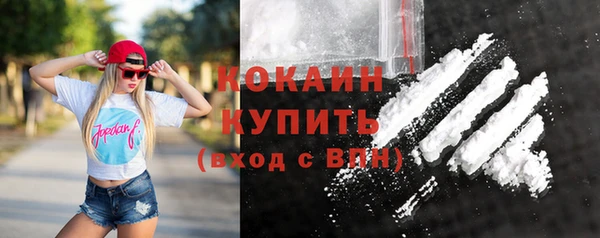 тгк Михайлов