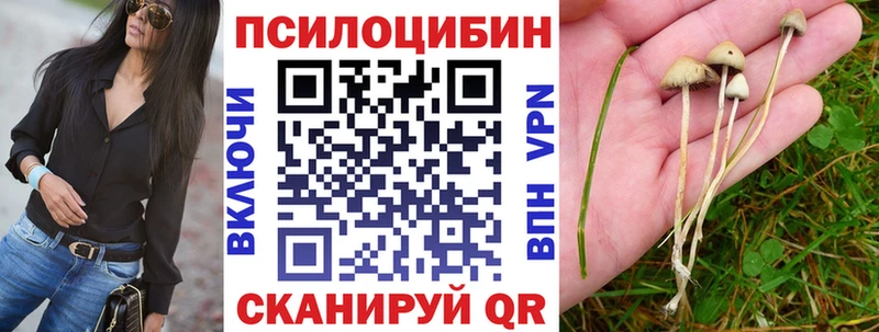 Псилоцибиновые грибы прущие грибы Пыть-Ях
