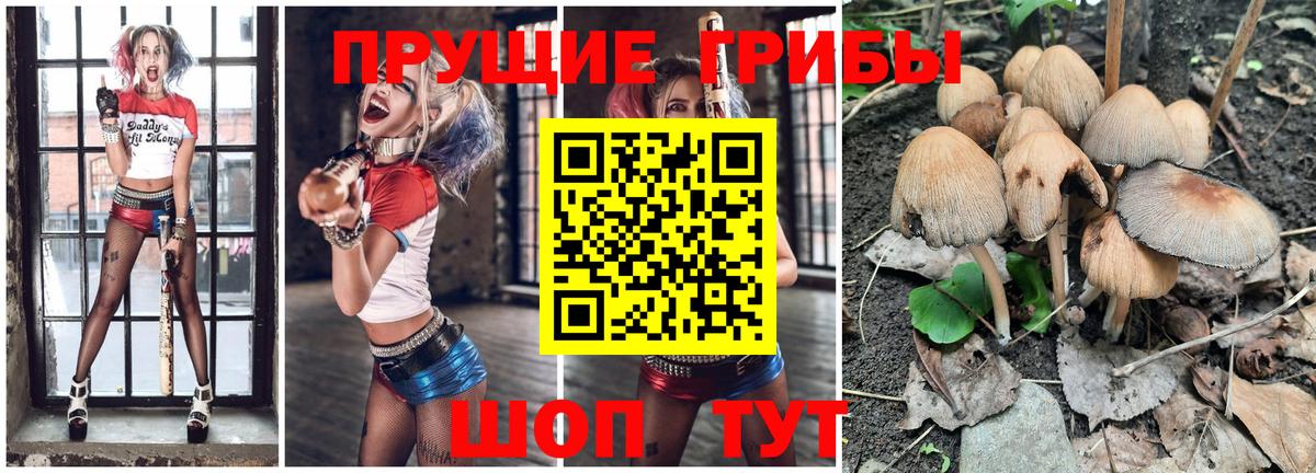 Галлюциногенные грибы мухоморы Пыть-Ях